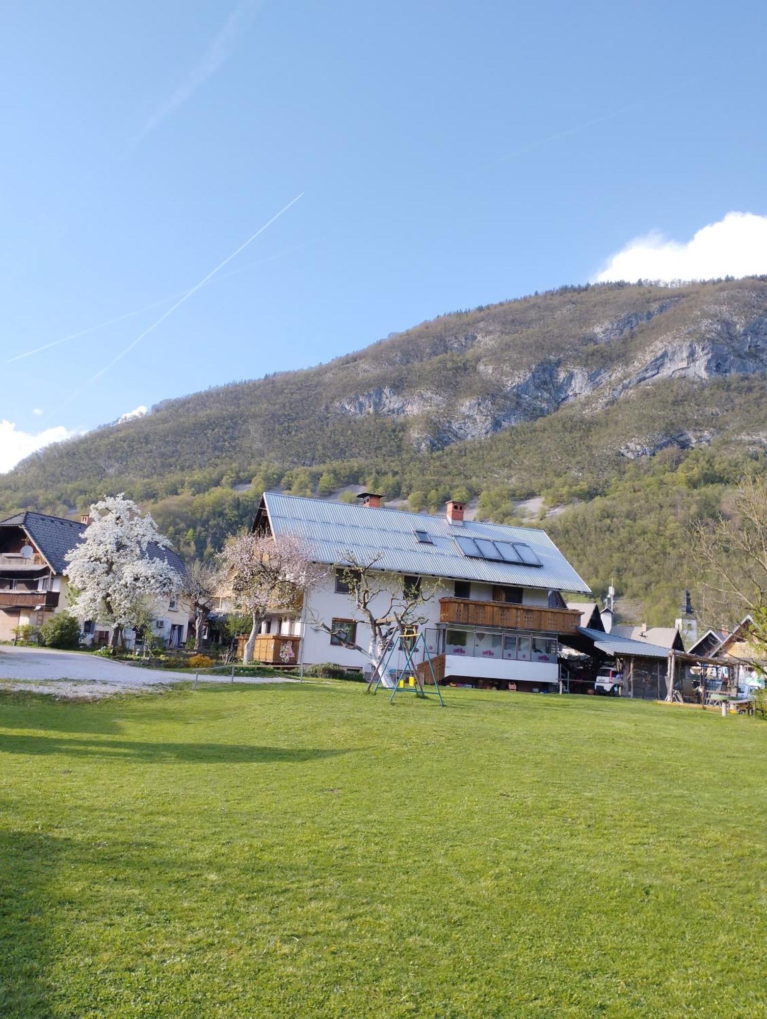 Apartmaji Verica Ceklin Bohinj Esterno foto