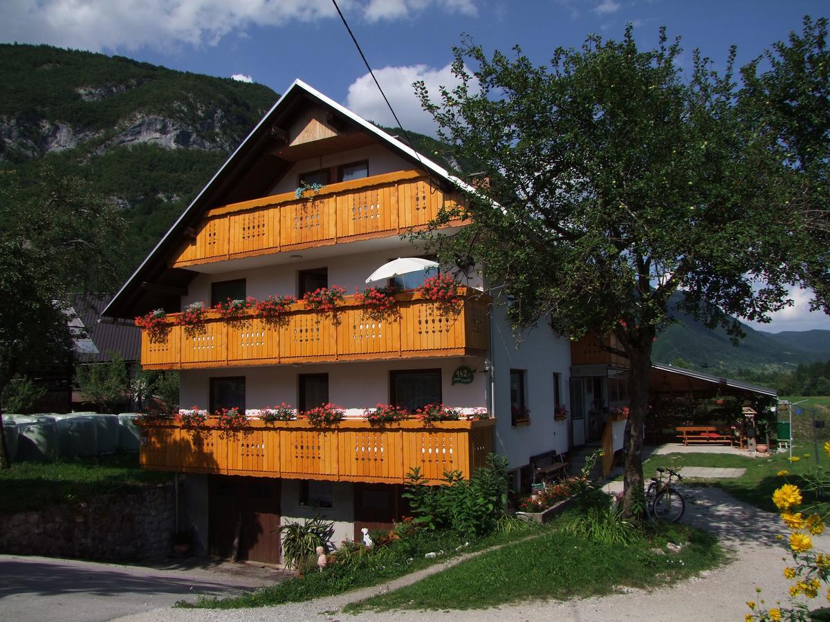 Apartmaji Verica Ceklin Bohinj Esterno foto